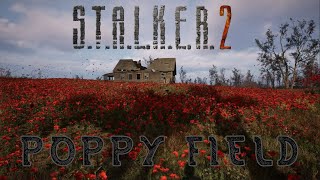 STALKER 2 Heart of Chornobyl  Poppy field  Selected music and ambient sounds [upl. by Gram]