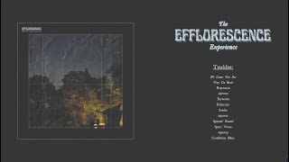 Floras Embrace  The Efflorescence Experience Full Album Premiere [upl. by Licec669]