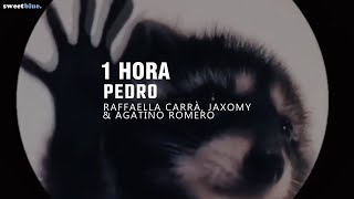 1 HORA la canción de pedro  PEDRO  Raffaella Carrà Jaxomy Agatino Romero TikTok Remix [upl. by Seedman352]