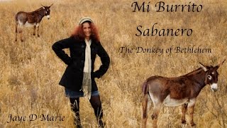 Mi Burrito Sabanero  Jaye D Marie [upl. by Scrivens103]