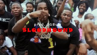 FREE FOR PROFIT Polo G x YungLiV Type Beat quotBLOODHOUNDquot [upl. by Leonerd]