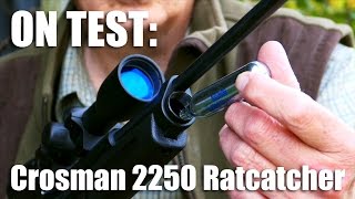 Crosman 2250 Ratcatcher airgun on test [upl. by Llerrud374]