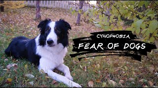 Facing Fears  A Journey Through Cynophobia 3 Minutes [upl. by Eisnil]