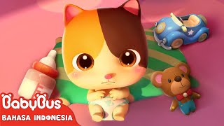 Bayi Kucing Super Lucu amp Imut 🍼 Lagu Anak amp Kartun Anak  Kebiasaan Baik  BabyBus Bahasa Indonesia [upl. by Gildus]