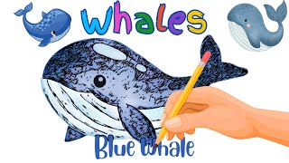 Learning video of Whales for kids Learning Sea Animals for Kids [upl. by Neit]