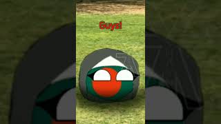 REGION ON FLAG countryballs polandball geography humor viral shorts fyp funny [upl. by Ayotol]