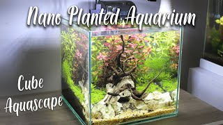 Nano Planted Aquarium  CUBE Aquascape [upl. by Brass]