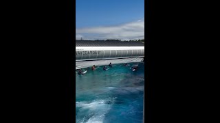 Longboard Surf at The Wave [upl. by Ardy]