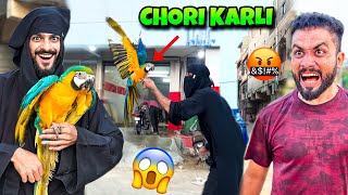 USAMA KA 4 LAKH KA PARROT CHORI KARLI🤣  MISHKAT KHAN VLOG [upl. by Maggie]