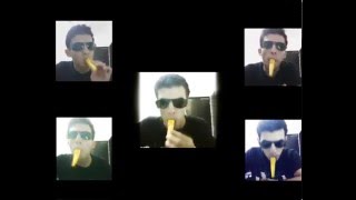 The Final Countdown Kazoo cover [upl. by Vance]