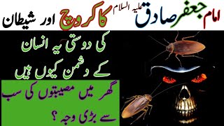 Cockroach ki waja se ghar mai musibateinimam jafar sadiq as کاکروچ [upl. by Cleodell184]