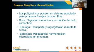 estructuras Anatómicas del Sistema Digestivo de Poligástricos [upl. by Helman]