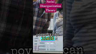 Social Disorganisation Theory socialdisorganizationtheory socialpsychology socialtheory society [upl. by Rett]