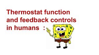 Homeostatic thermostat function in human body [upl. by Brandenburg]