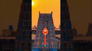 Muruga 🦚  murugan whatsapp status  tamil kadavul [upl. by Son794]