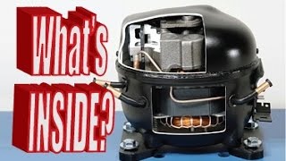 Whats inside a Refrigerator Compressor [upl. by Ahtnamys690]