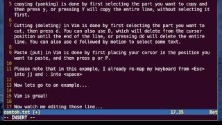 Vim Tutorial  Copy Cut and Paste [upl. by Hpesoj96]