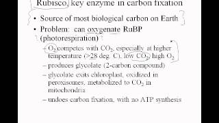 3 10 carbonfixation rubisco [upl. by Tinya590]