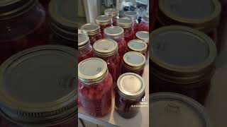 Its cranberry time canning canningtok canningandpreserving foodpreservation [upl. by Lenehc]