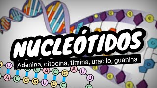 NUCLEÓTIDOS del ADN y ARN⚡¿que son Fácil y sencillo en 3 minutos [upl. by Lad715]