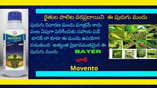 Bayer Movento energy  Best sucking pest controller [upl. by Dahcir430]