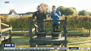 Grape stomping  FOX 5 News [upl. by Macdonald]