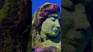 Mother Earth sculpture of Mosaïcultures at the Parc du BoisdeCoulongeQuebec City Canada ytshort [upl. by Laaspere]