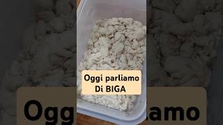 Come gestisci la tua biga Guarda il video correlato 😉 fermento pane pizza [upl. by Atig]