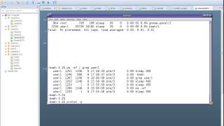 Solaris 10 Process Control [upl. by Uke]