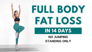 FULL BODY FAT LOSS in 14 Days  40 min Standing Workout  No Jumping Beginner Friendly [upl. by Nillad]