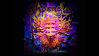 Shpongle  Museum of Consciousness Full album [upl. by Erick401]