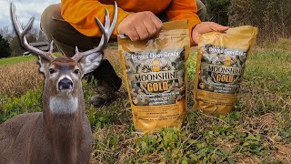 Late Season Deer Buck Attractant [upl. by Notlehs871]