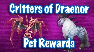 Jessiehealz  Critters of Draenor 61 Pet Daily Rewards World of Warcraft [upl. by Dnomrej]