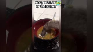 Crazy Kitcheners 😱 shortvideo workers work jobs crazy kitchen funny viralvideo reactions [upl. by Austina]