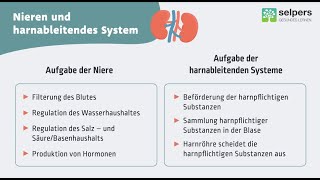 Harn und Nierensteine einfach erklärt Expertin informiert [upl. by Gilletta]