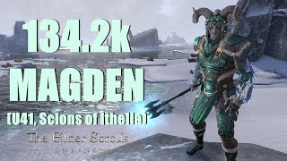 ESO  Magicka Warden 1342k PvE DPS Build  U41 Scions of Ithelia [upl. by Adnuhs]