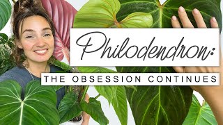 Sorry If You Buy More Plants After This 😬 PHILODENDRON Collection Tour Growth Updates  FUN FACTS 🌱 [upl. by Wernda787]