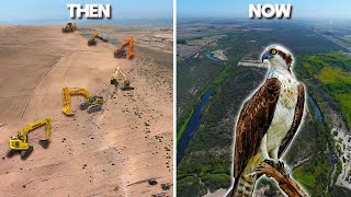 Restoring The Colorado River Back Into An Oasis In The Desert For Migrating Birds [upl. by Donna244]