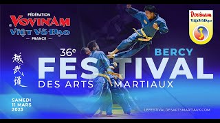 VovinamViet Vo Dao au 36ème festival des arts martiaux de Paris Bercy  11 mars 2023 [upl. by Navillus]