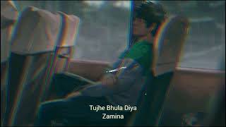 Tujhe Bhula Diya  Slowed  Reverb  Zamina [upl. by Oruasi]