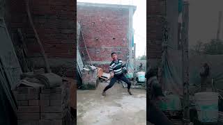 Chhamiya Bollywood Hindi song dance video trending youtubeshorts viralshorts 1million shorts [upl. by Waldack]