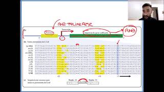 Aula 13  Transcrição gênica [upl. by Justus948]