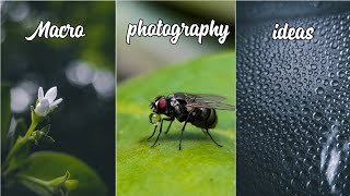 Macro photography ideas  Mobile photography [upl. by Ivanah509]