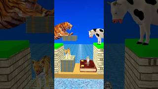 New Money vs Knowledge With Cartoon Cow vs Tiger What Do Choose Shorts Cartoon Viral [upl. by Ardnahcal458]