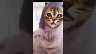 😱 Cat Sees Itself with a Cat Filter and FREAKS OUT 😂🐾kitten cat adorable funny cute new [upl. by Quinby]