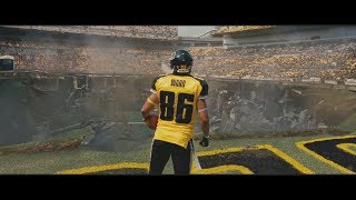 Hine Ward  Heinz Field pt 1 Career Highlight [upl. by Ellehcit837]