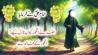 Angoor Khane Ke Fayde  Imam Ali as  Benefits of Eating Grapes  Merchant Tv [upl. by Moffit]