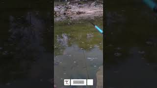 Sekali lempar satu ikan mancing shortvideo [upl. by Iene728]