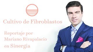 Cultivo de Fibroblastos  Entrevista por Mariano Riva Palacio  Sinergia TV Azteca [upl. by Ogait]