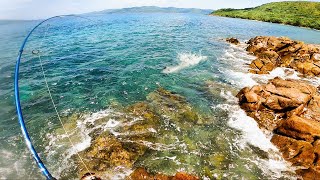 Rock Fishing❗Catching School of Tuna From The Shore [upl. by Mistrot]